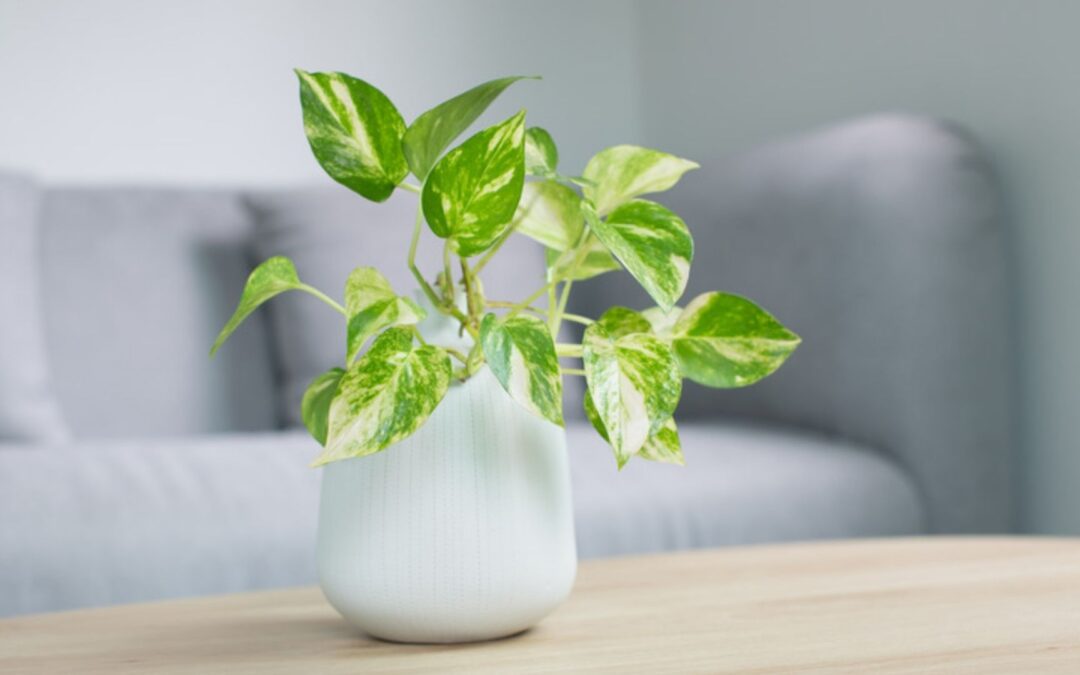 Benefits of an HVAC Maintenance Program