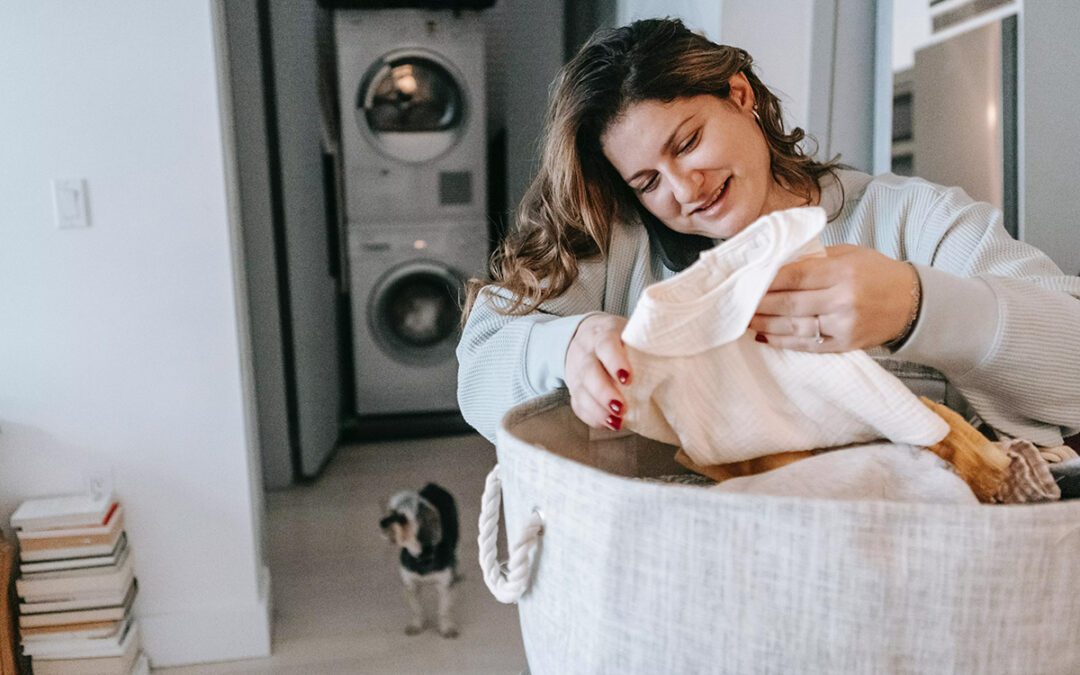 Your Guide to Air Cleaners and Filters