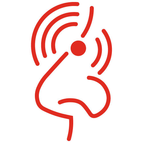 Nasal Congestion icon